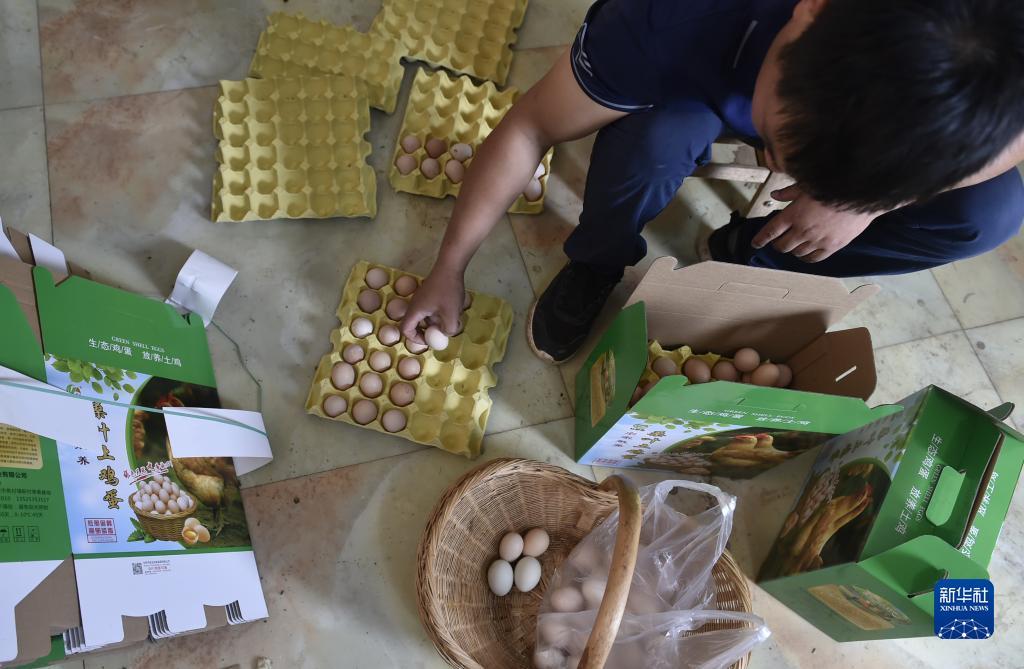 李逵劈鱼 金蟾捕鱼